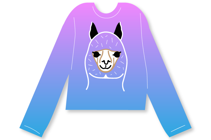 Alpaca Sweater copy